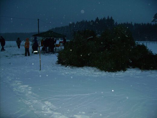 Christbaumfeuer 2010