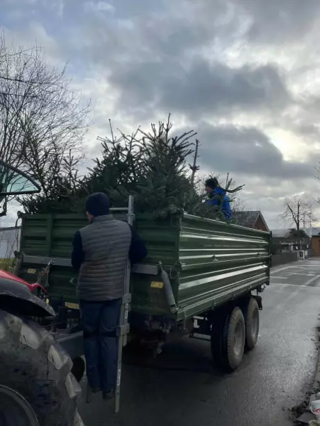 Feuerwehr sammelt wieder Christbäume ein